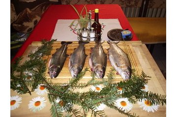 Pensjonat rodzinny Oszczadnica / Oščadnica 7